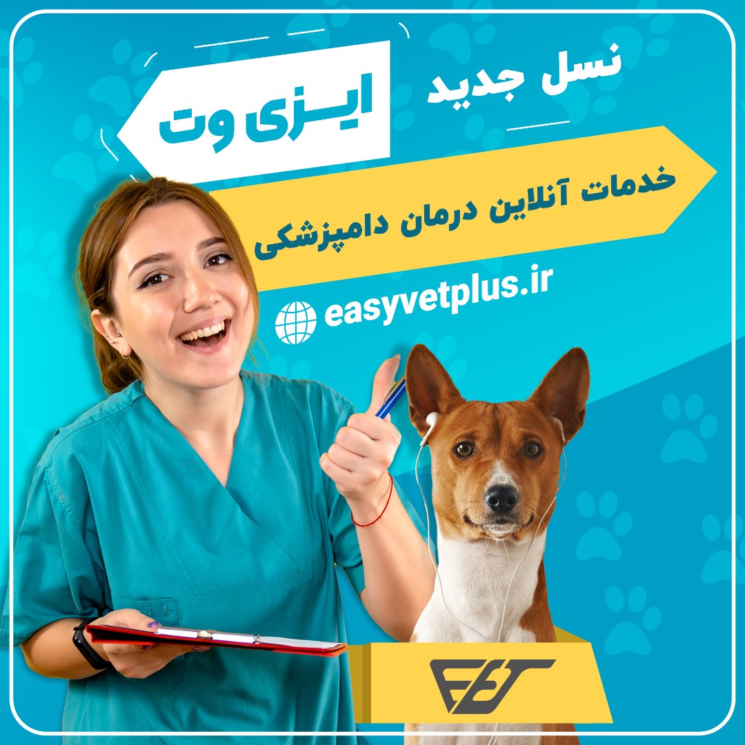 استارتاپ ایزی وت