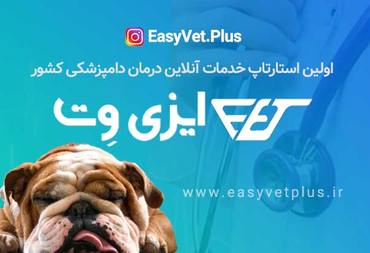 استارتاپ ایزی وت